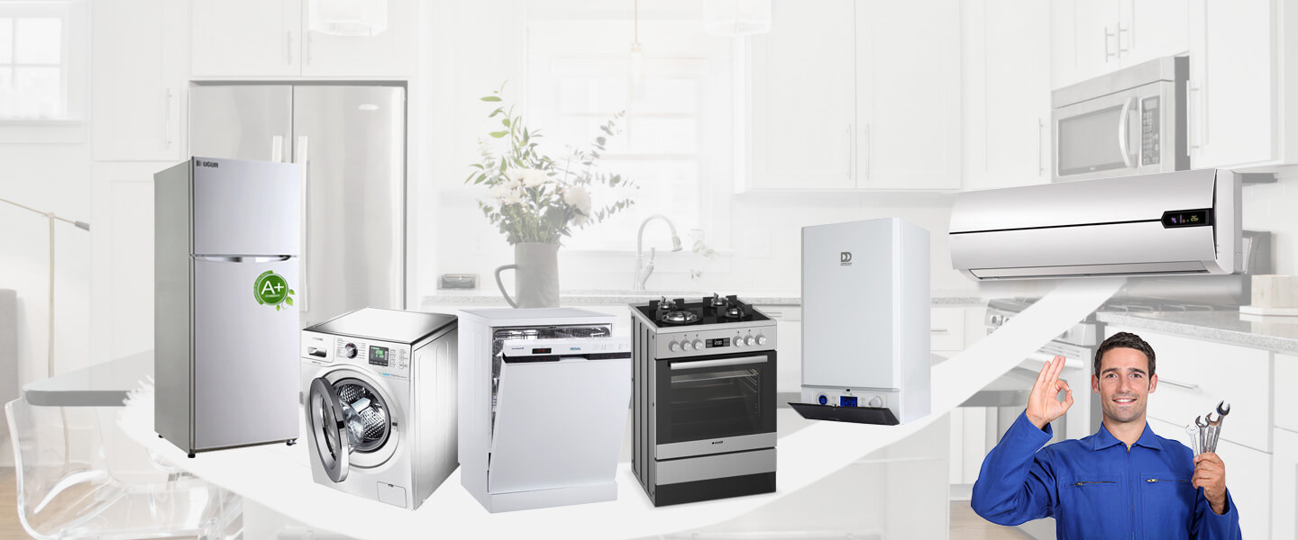 Koyundere Electrolux Servisi